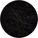 J.m D OLEO profile picture